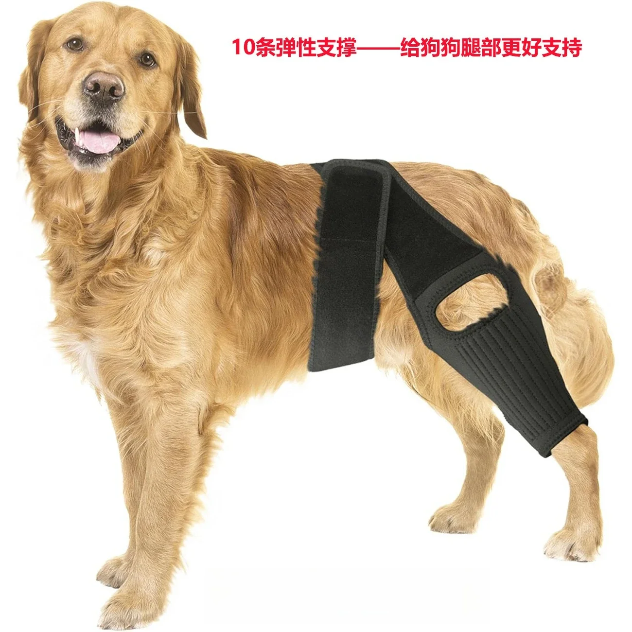 

Pet Protective Gear Dog Leg Injury Assistance Strap with Support Strip Dog Leg Cover Knee Rehabilitation Strap Pet Accessories