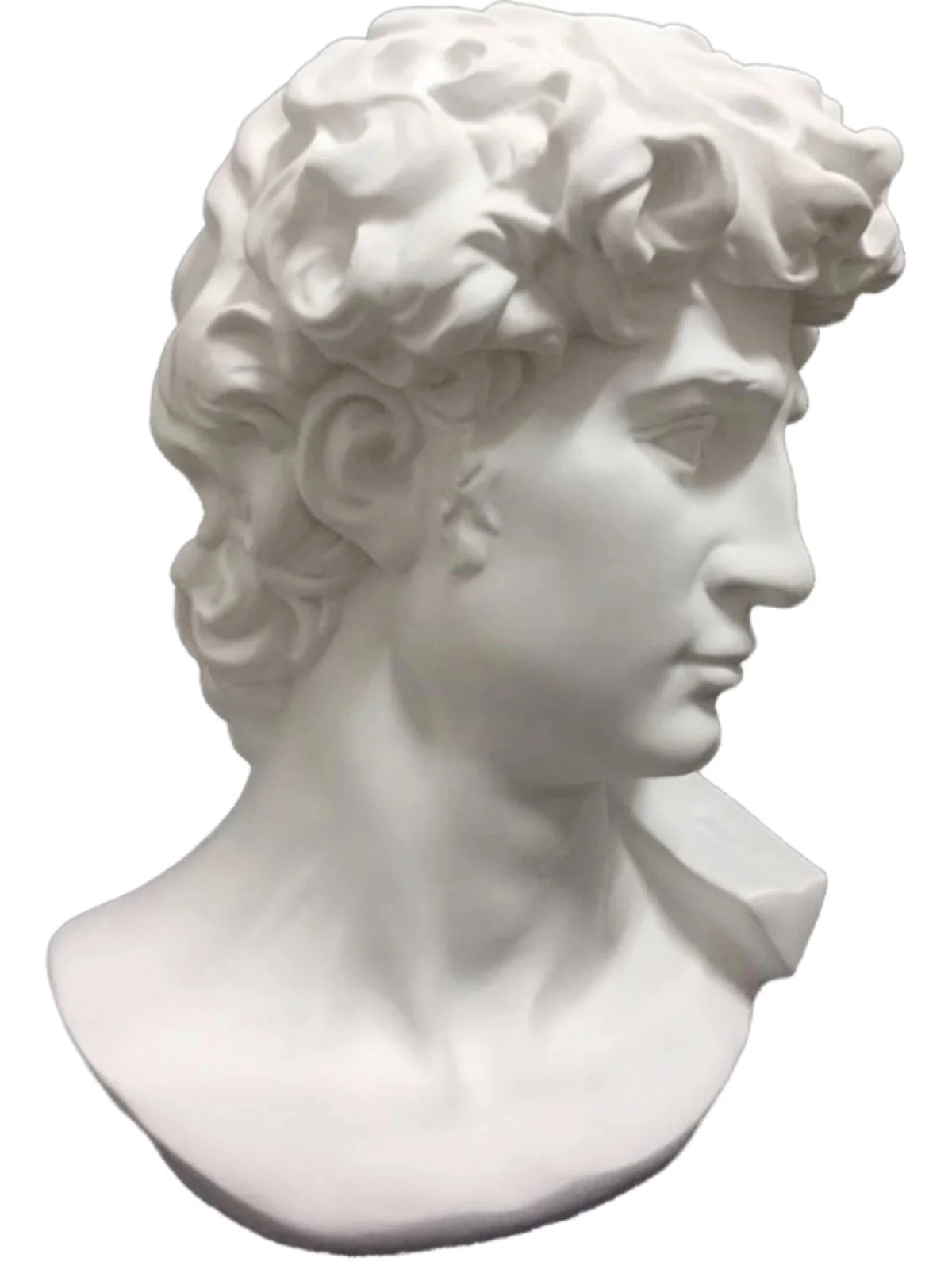 

David Model Figure Resin Decoration Art Teaching Aids Painting Sketching Head Portrait Sculpture Decoration Vase
