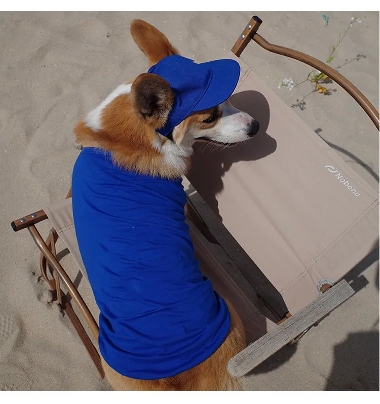 Pet Hat.