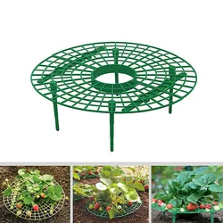 Strawberry Supports Keeping Plant Fruit Stand Vegetable Growing Rack Garden Tools for Protecting Vines Avoid Ground Gardening