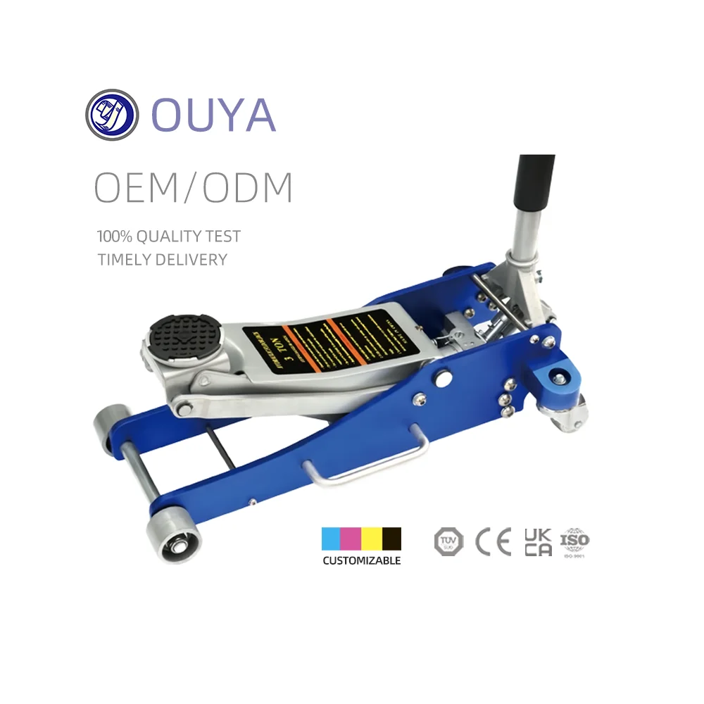 2.5 Ton Universal Multifunction Hydraulic Aluminum Floor Jack Low Profile with Dual Pump for Car Repair