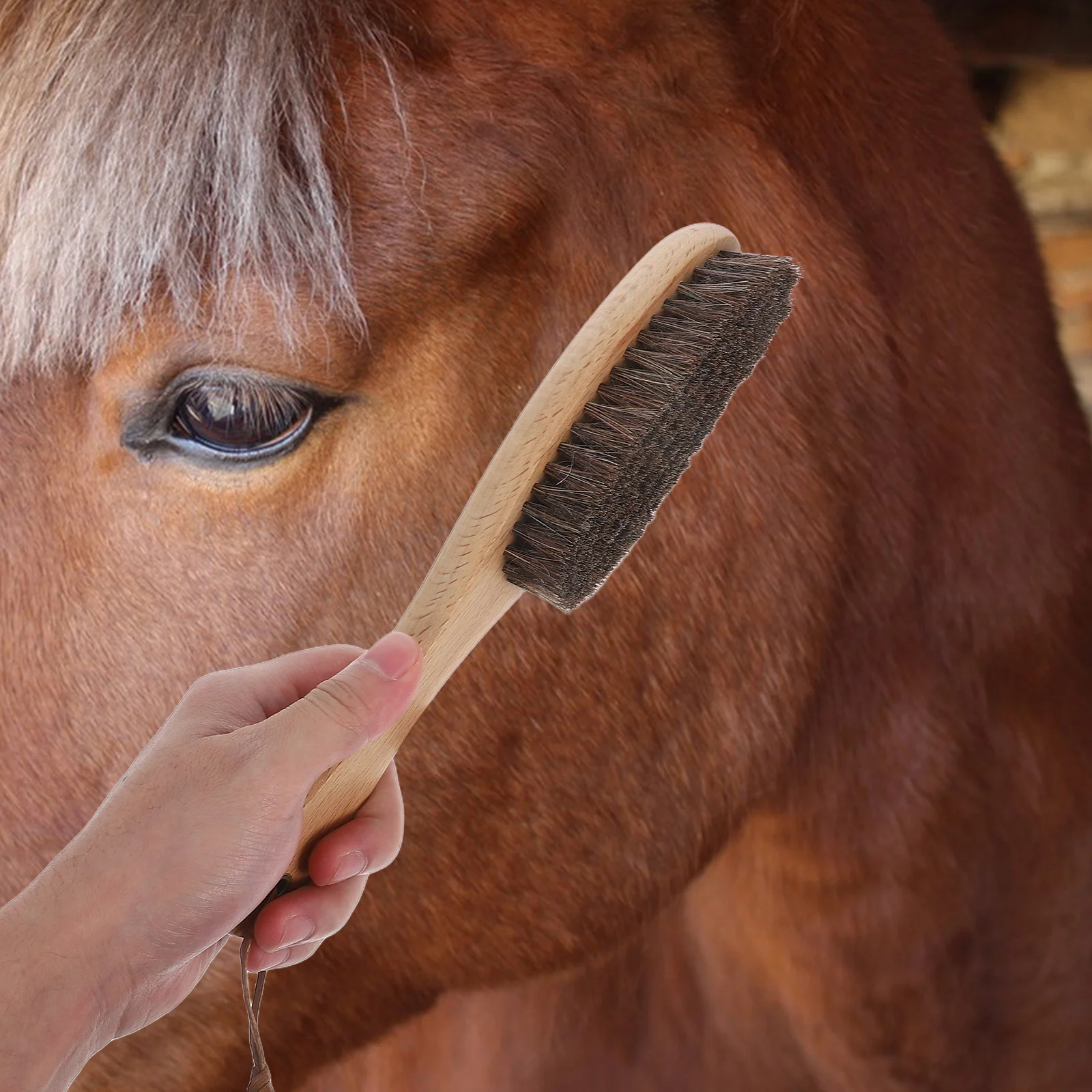 Cepillo de crin con mango de madera, suave sobre telas, eficiente, para quitar trajes, chaquetas, cepillo de crin de caballo