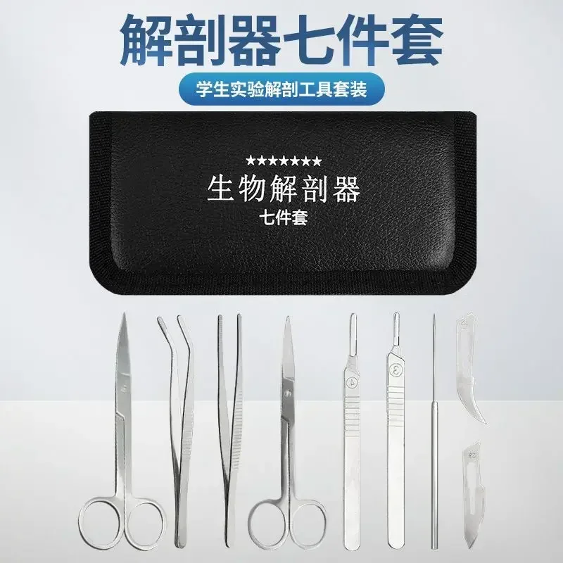 Stainless Steel Insect Dissection Scissors, Medical Biology Laboratory Equipment Tools, Dissection Needles view 6