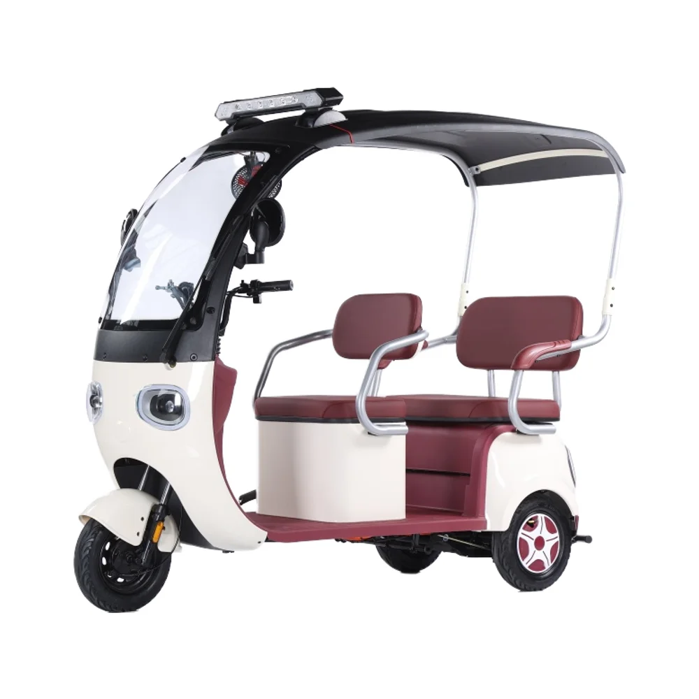 

2025 CE New Tricycle Electric Bike 800w TRUCK Tuk Tuk 3 Wheel Scooter tandem Fat Europe Mini Car Rickshaw