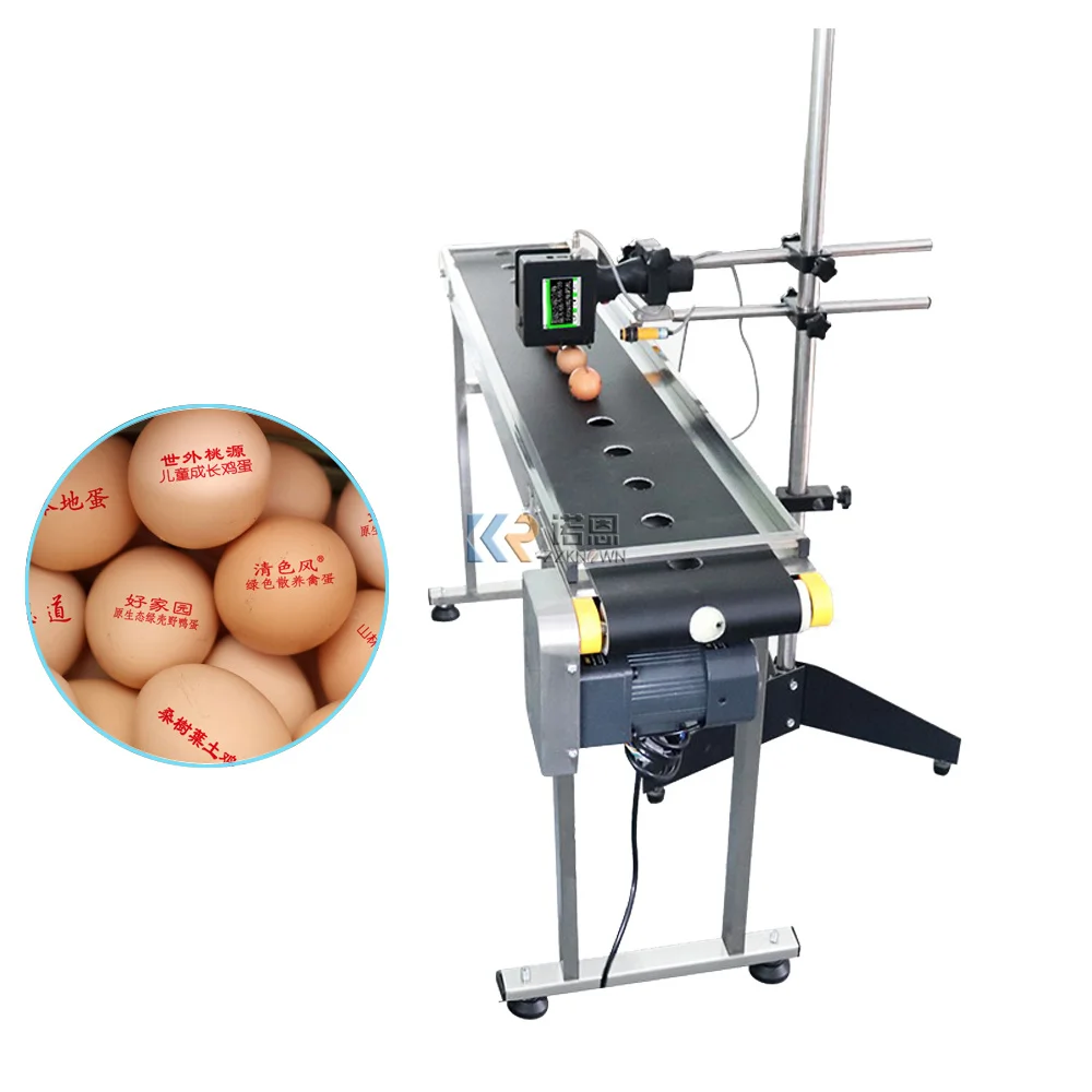 Adjustable Full Automatic Egg Printer Machine Expiry Date Egg Coding Conveyor Custom Inkjet Printing Machine for Food