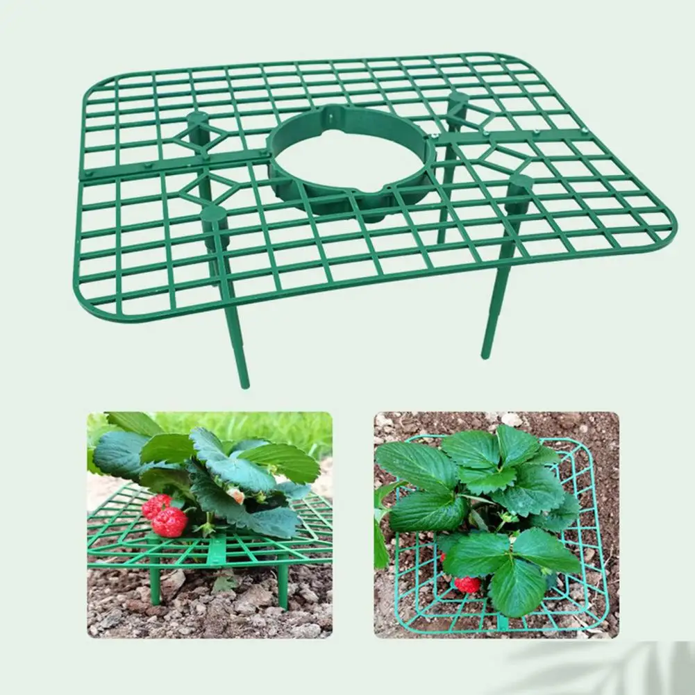 Strawberry Plant Shelf Durable Strawberry Plant Support Frame for Fruit Growing Waterproof Design with Detachable for Strawberry