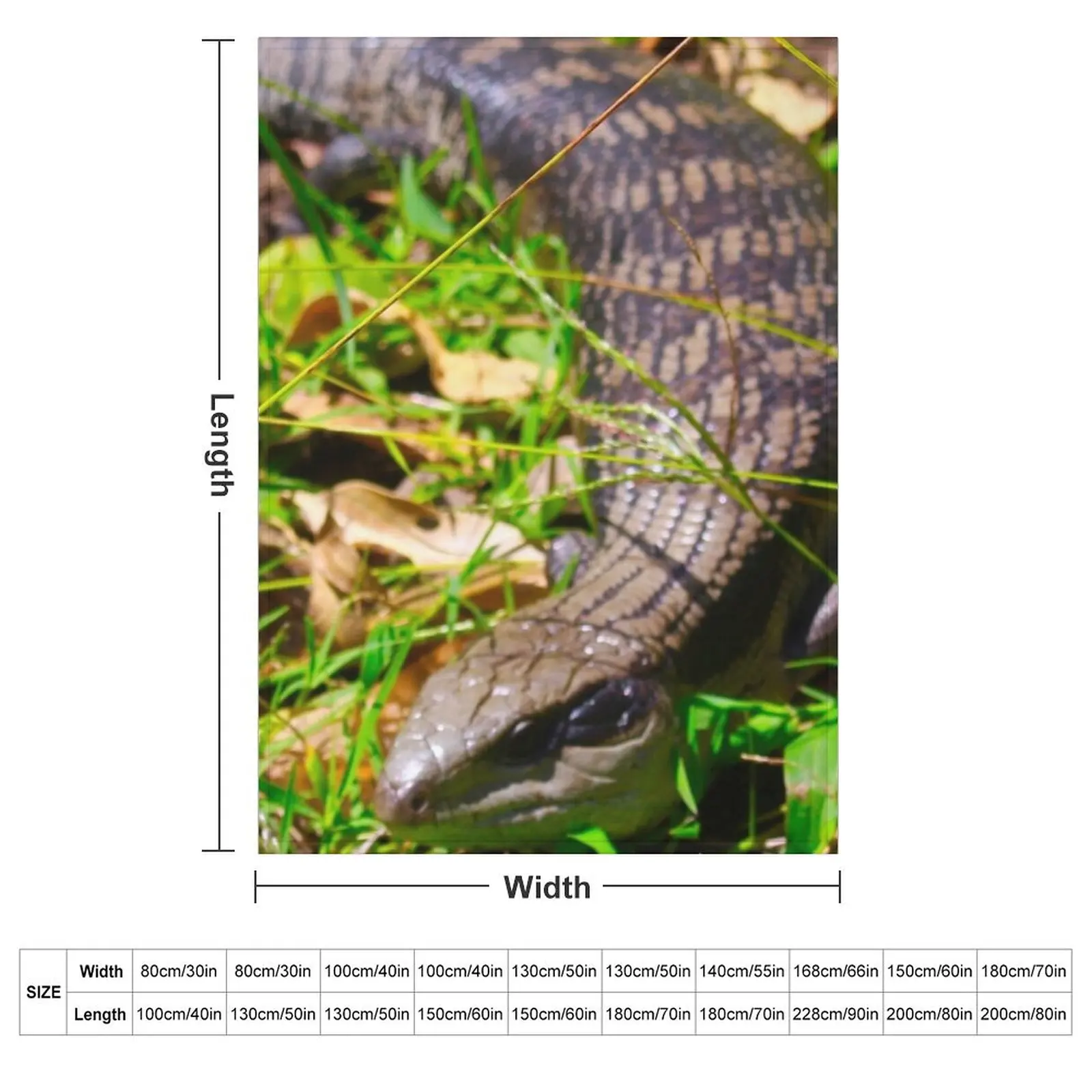 Blue Tongue Lizard in the Garden! Throw Blanket Baby Heavy Blankets For Bed Multi-Purpose Loose for winter Blankets