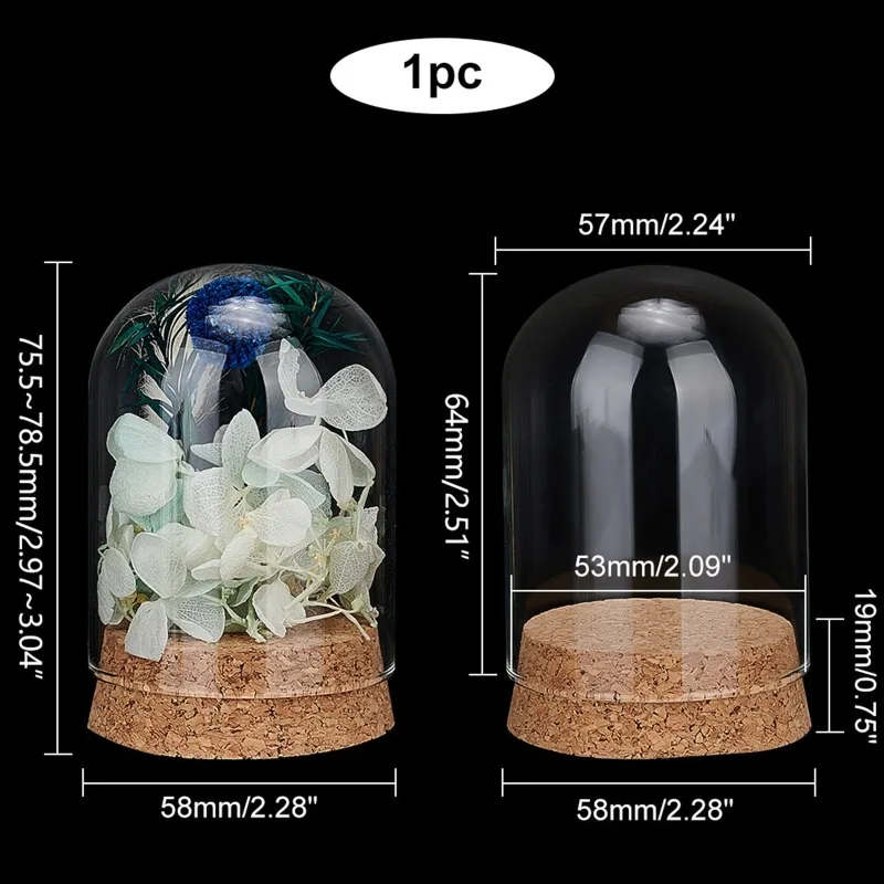 10 stks Cloche Bell Jar Display Dome met Kurk Basis 8 ml Mini Glazen Flessen Dome Decoratieve Potten Vitrine voor Bloem Opslag