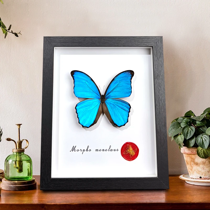 Real Rare And Exquisite Handmade Butterfly Specimen Decorative Painting For Home Decor Minimalist Wall Decor Special Gift.