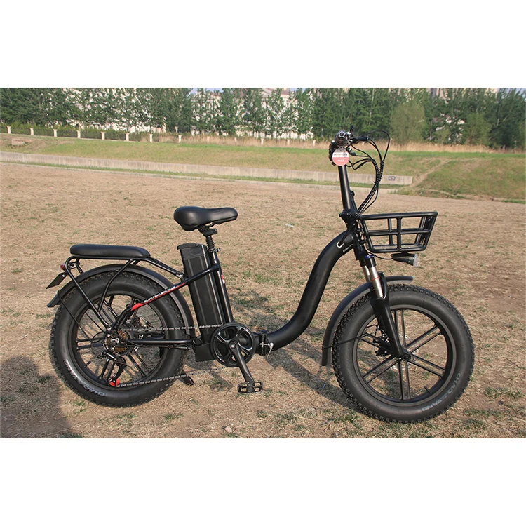 Local Overseas Stock Fast Electric Bike 25km/h for Adults Fat Tire Full Suspension 48V Motor Customizable Mountain E Bike