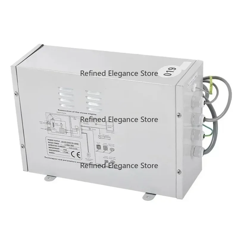220V 3000W Remote Control Steam Generating Device Household Steam Producing Equipment For Indoor Spa Space