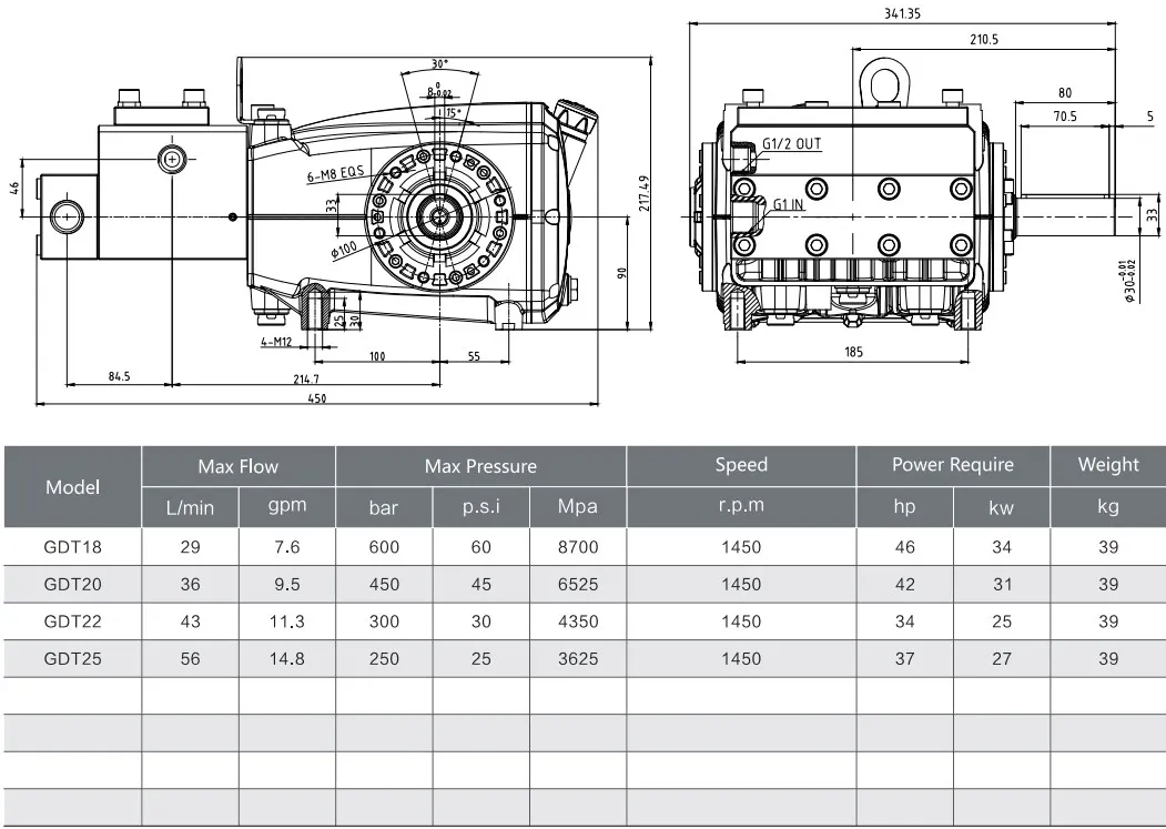 GDT 30-56L/min 250-600Bar  High Pressure Sea Water Pump for reverse osmosis water treatment