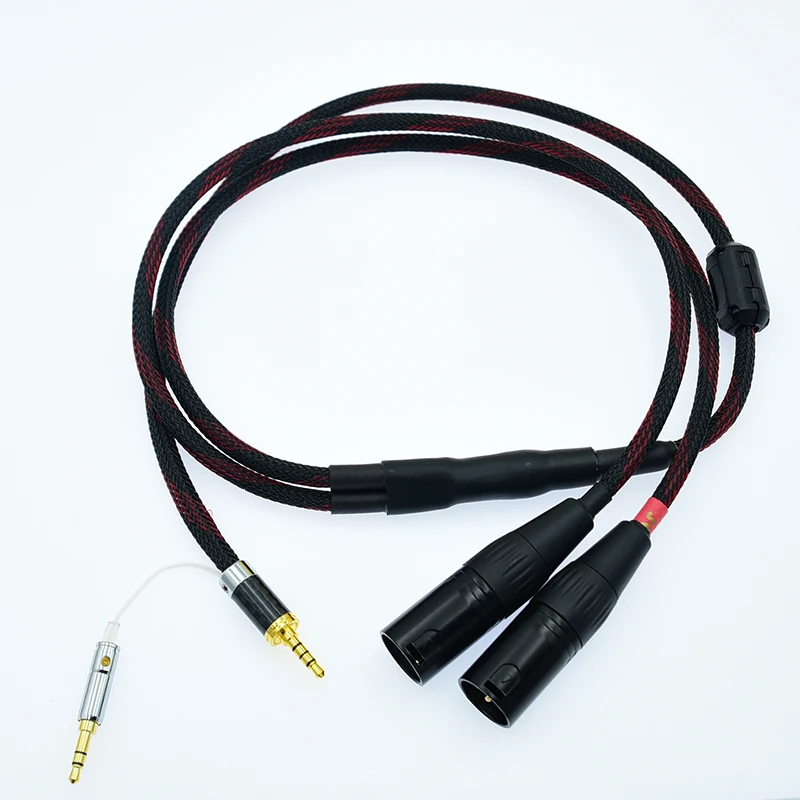 Cavo audio bilanciato da Trrs a 2 doppi XLR maschio da 2,5 mm per Astell&Kern 100 120 II AK 240 380 320, DP-X1A FIIO X5III XDP-300R DX200 44 Cavo audio bilanciato da Trrs a 2 doppi XLR maschio da 2,5 mm per Astell&Kern 100 120 II AK 240 380 320, DP-X1A FIIO X5III XDP-300R DX200 44