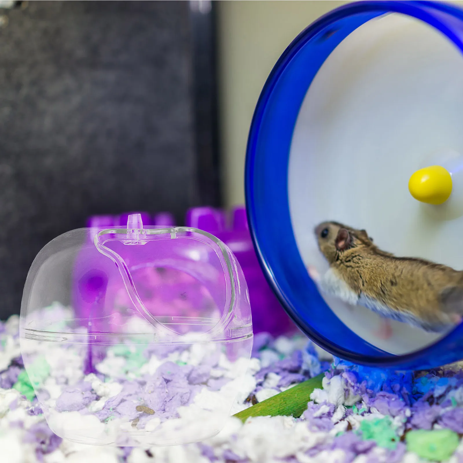 

Pet Bathroom Transparent Plastic Toilet for Hamster Rabbit Chinchilla Guinea Pigs Small Animals Sand Bath Container Easy Clean