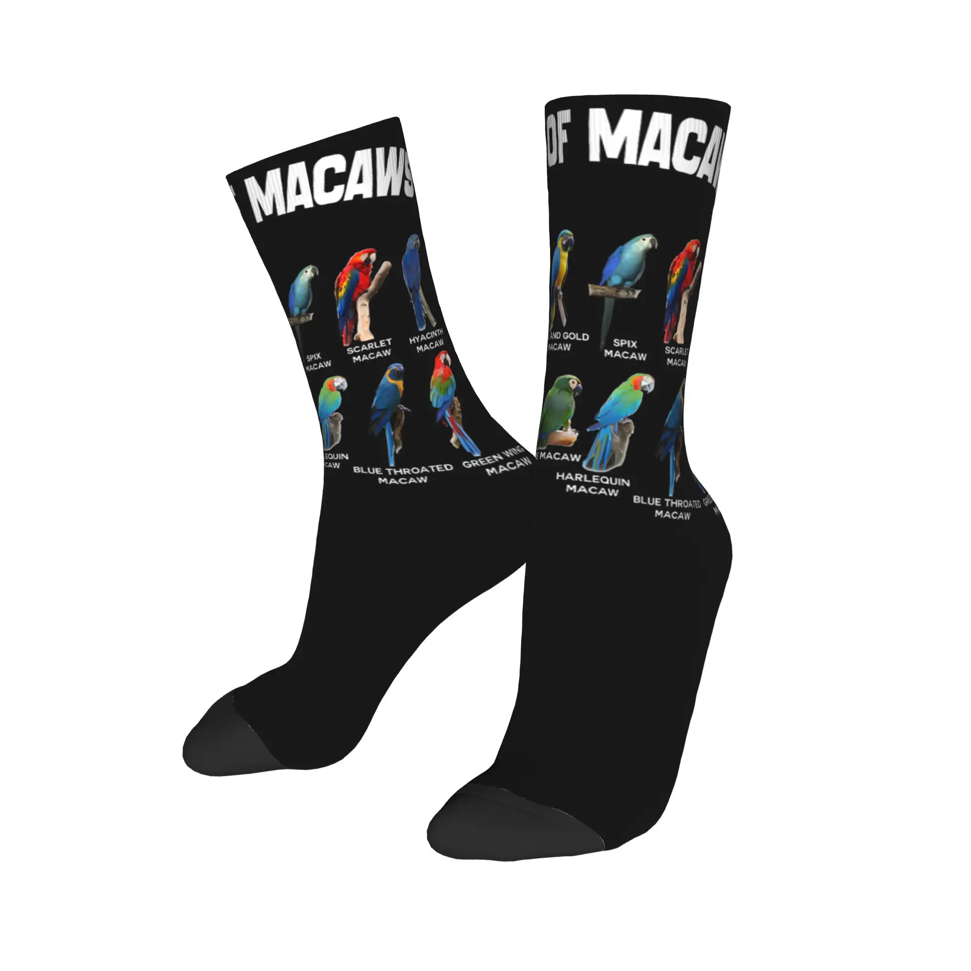 New Male Men Socks Casual Parrots Bird Guide Different Parrot Species of The World Pet Sock Polyester  Sport Women's Socks