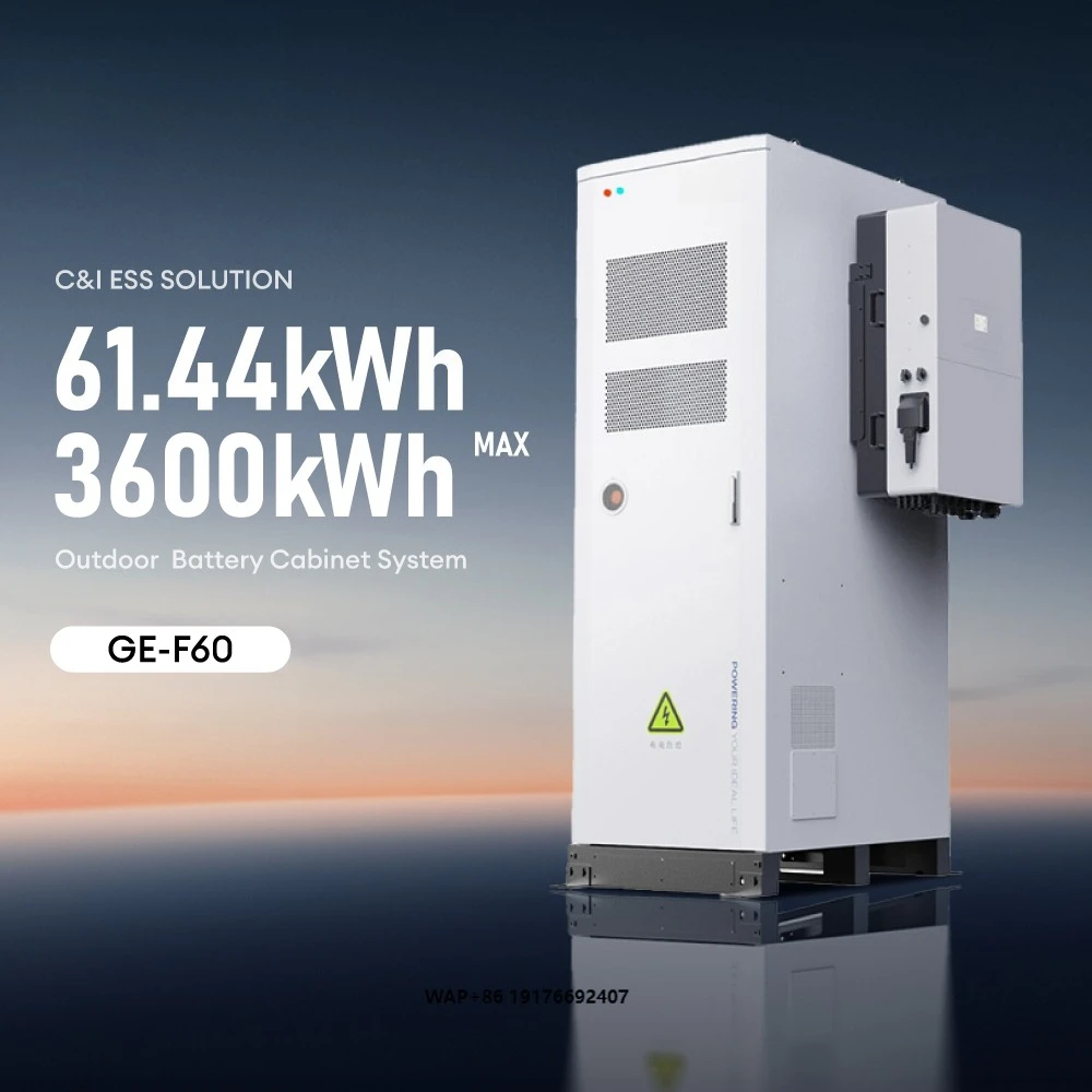 Deye C&I ESS Container Lithium Battery 60kwh 100Kwh 1000Kwh High Capacity Lifepo4 Energy Storage Container System Solution