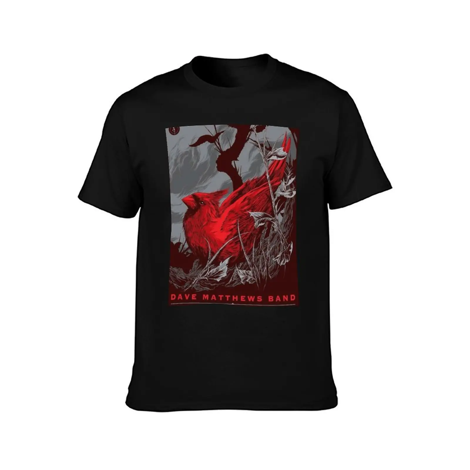 DMB 2015 July 18th Klipsch Music Center Nobleville T-Shirt, Summer Casual Cotton Tee, Oversized Streetwear Tops, 100% Cotton