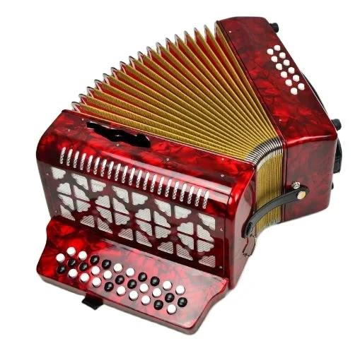 31-Key 12-Bass Diatonic Accordion Professional B/C System Bayan Entry Level Wood Accordion