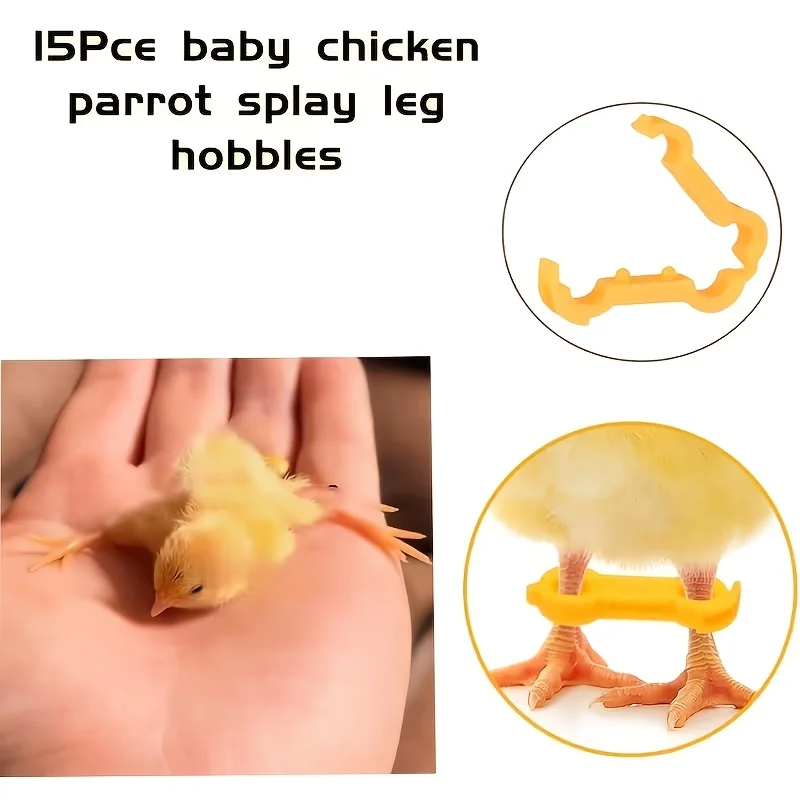 12Pcs Poultry Chick Leg Correction Brace, Splay Leg Support Ring for Duck Quail Parrot Young Bird Rehabilitation view 6