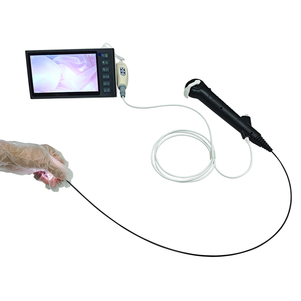 Single Use Flexible Digital Ureteroscope, built-in imaging sensor for portable urology diagnosis and lesion observation