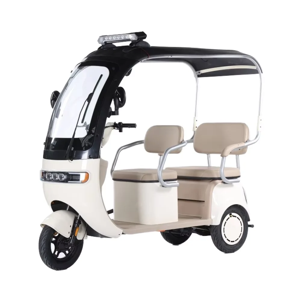 

2025 CE New Tricycle Electric Bike 800w Motor Cycle Mobility Scooter Elderly Europe Vehicles Transportation