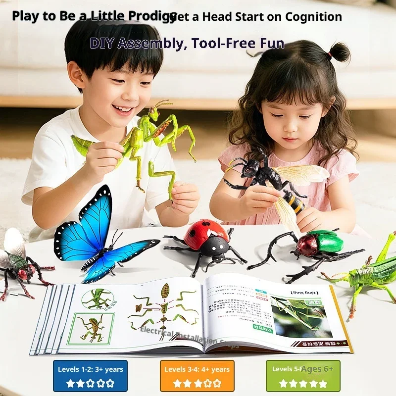 5–10 Jahre Kinder DIY 4D-Insektenmodellbausatz – Lernspielzeug für Jungen und Mädchen
