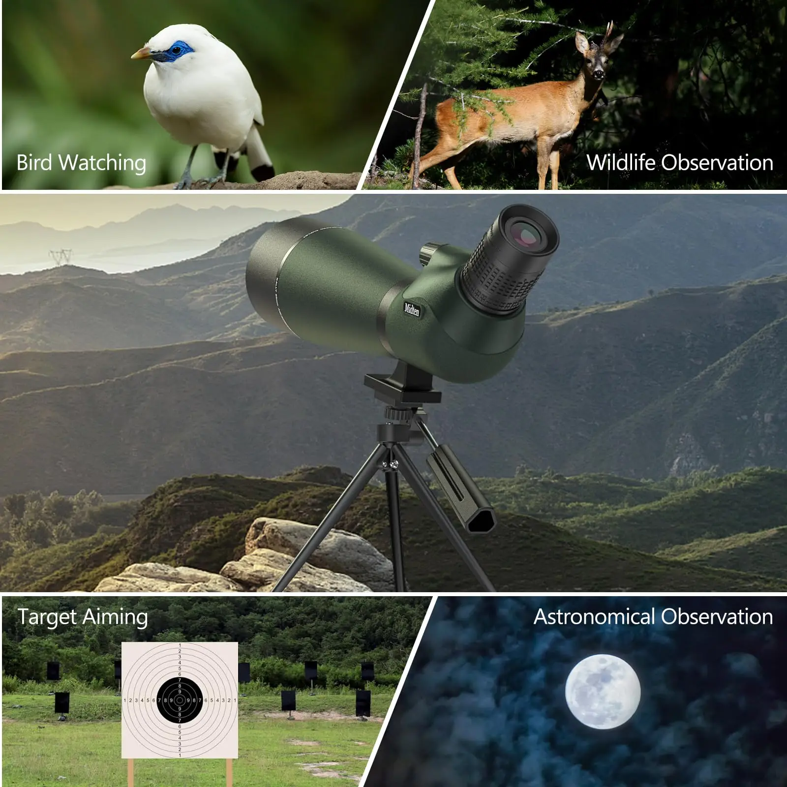 Spotter Scope zum Ansehen von Wildtieren 20-60x80 BAK4 Wasserdichtes Spektiv-Kit mit Stativ-Tragetasche und Telefonadapter Grün