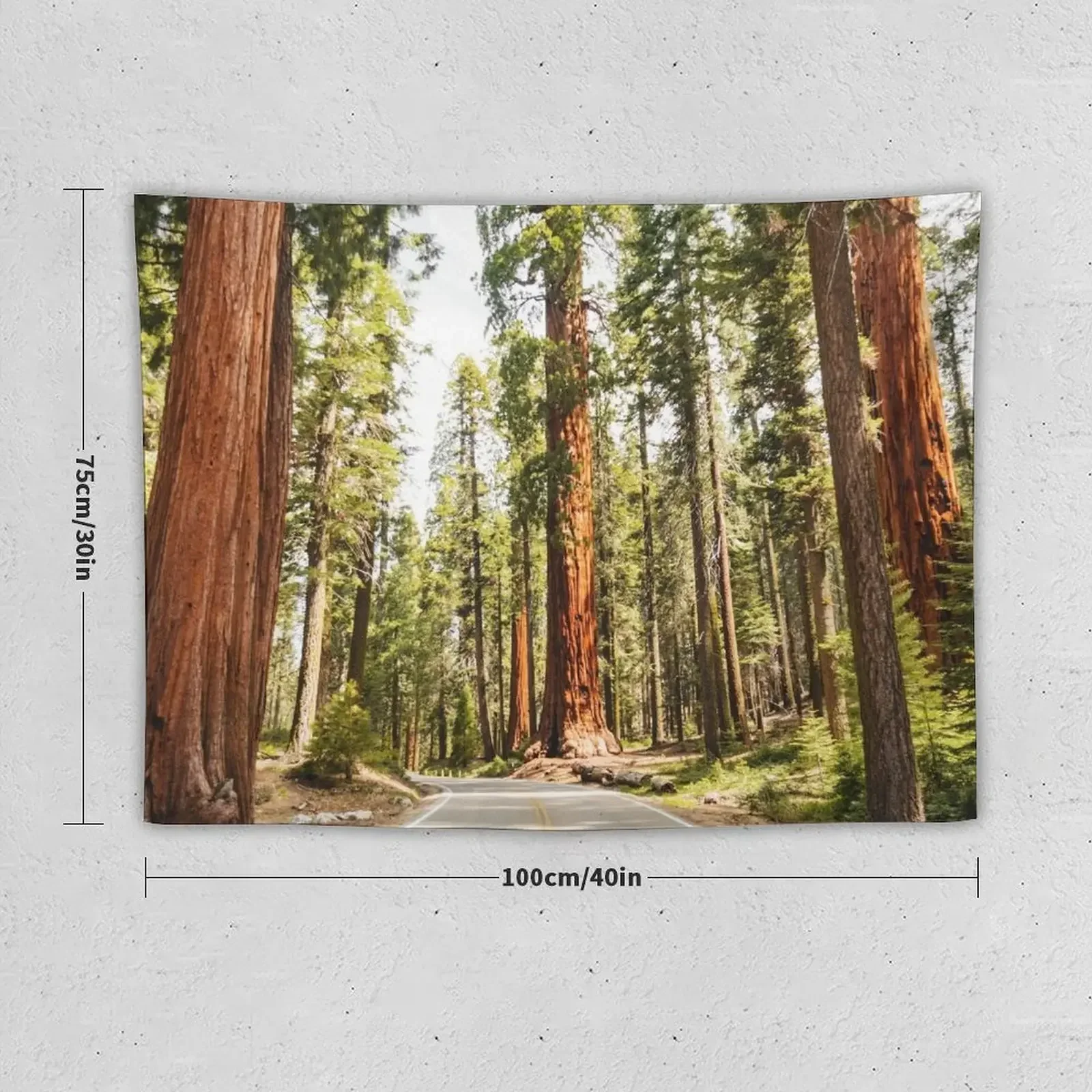 sequoia national park Tapestry Bedroom Organization And Decoration Decoration Pictures Room Wall Home Decorations Tapestry