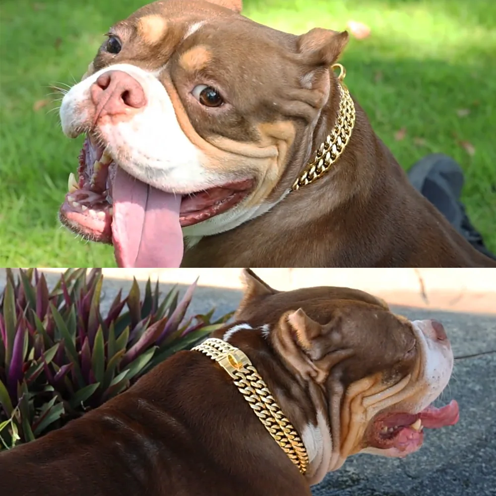 Strong Dog Chain Collar Gold Stainless Steel Pet Training Collars Cool Dog Metal Collar For Medium Large Dogs Pitbull Bulldog