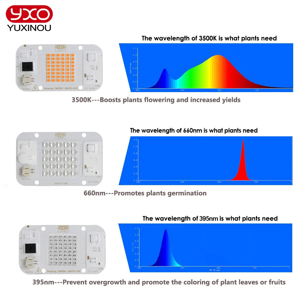 Imagem -04 - Sam-ng-quantum Led Grow Light para Estufa Lâmpada Vermelha uv Interruptor Ligado e Desligado Iluminação Hidropônica de Crescimento de Plantas Lm283b Mais 300w