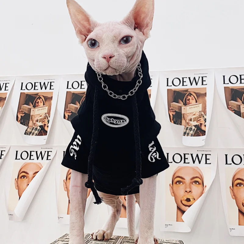 Fashion Spring Autumn Sphynx Devon Hairless Cat Clothes Cotton Fleece Hoodie for Devon Rex Cartoon Sweatshirt in Autumn