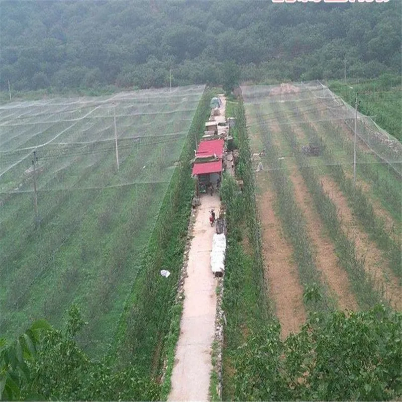 Rede de jardinagem para pássaros, 5m, 10m, rede de proteção de jardinagem, pomar de uva, mecha, lago, jardim, rede agrícola, rede para pássaros