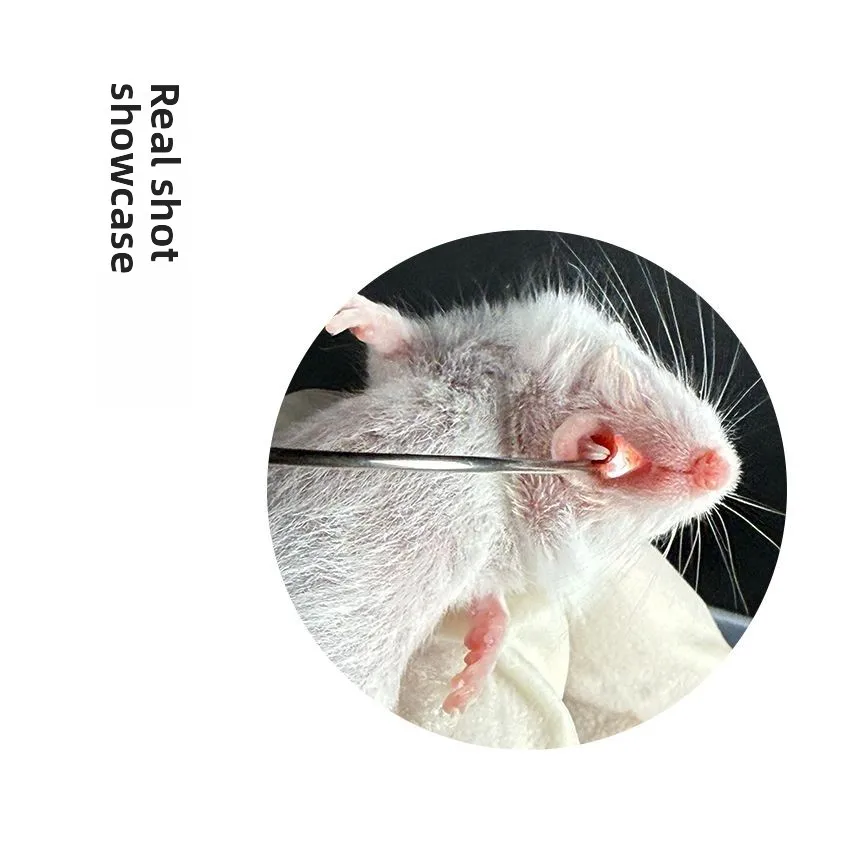 Geräte für Tierlaryngoskopie und -intubation: Laryngoskope, Larynxlichter und Faseroptische Schläuche für die Anästhesie von Ratten und Mäusen – Detail 8
