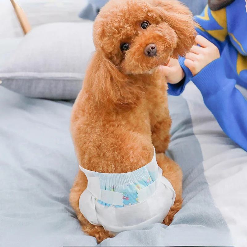 10PCS Diapers for Dogs Disposable Pet Diapers Female Dog Physiological Pants Puppy Diaper Panties for Dogs Panpers De Perros