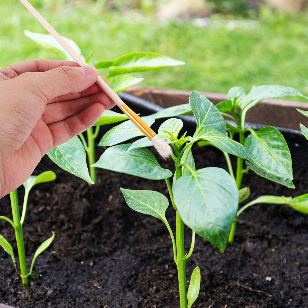 10 قطعة فرشاة تعبئة الصوف الناعم القابلة لإعادة الاستخدام للفواكه والخضروات والزهور أداة تعبئة يدوية دقيقة لتلقي شجرة الفاكهة #4