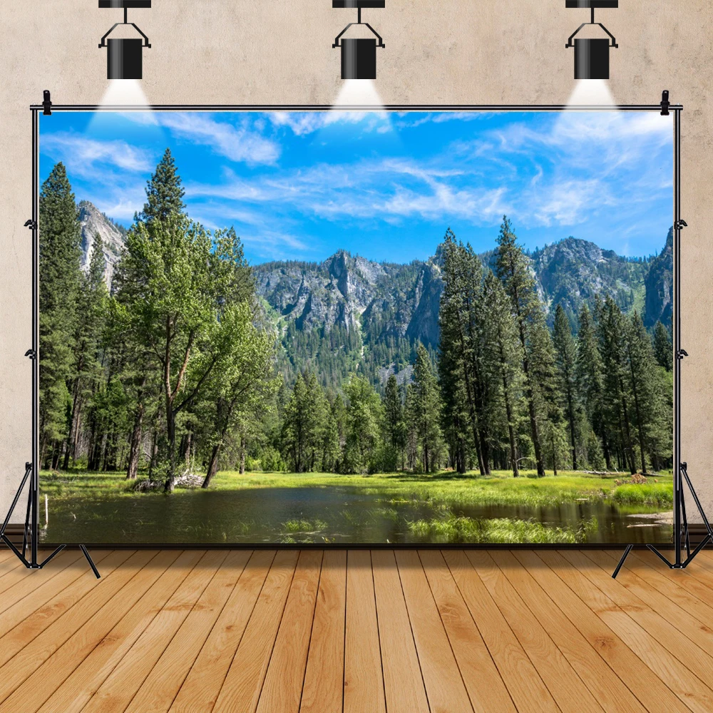 ธรรมชาติพื้นหลัง Lake Mountain ต้นไม้ป่าสีเขียวหญ้าท้องฟ้าสีฟ้ามีเมฆ Scenic การถ่ายภาพฉากหลัง Photocall Photo Studio