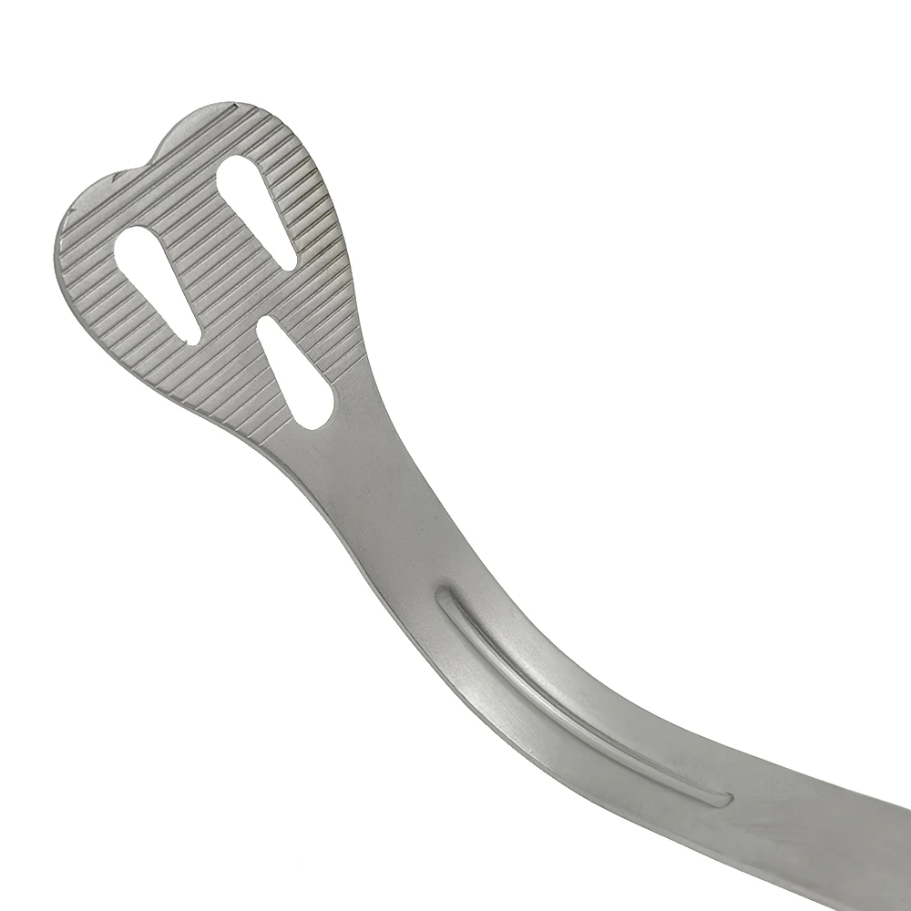 Dental Lingual Isolation Retractor Mouth Gag and Oral Opener for Tongue Retraction and Improved Access During Dental Procedures view 6