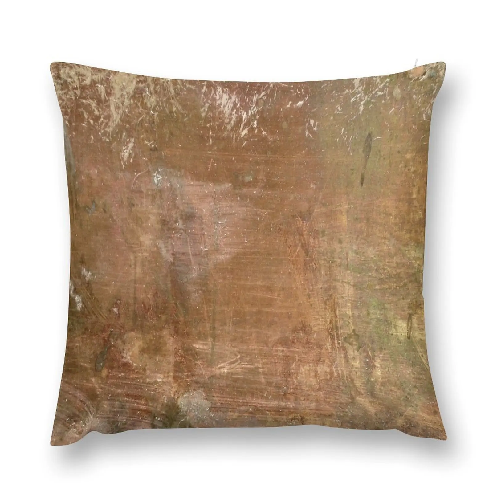 Oxided copper seppia Throw Pillow Anime autumn decoration Decorative Cushions christmas ornaments 2025 pillow