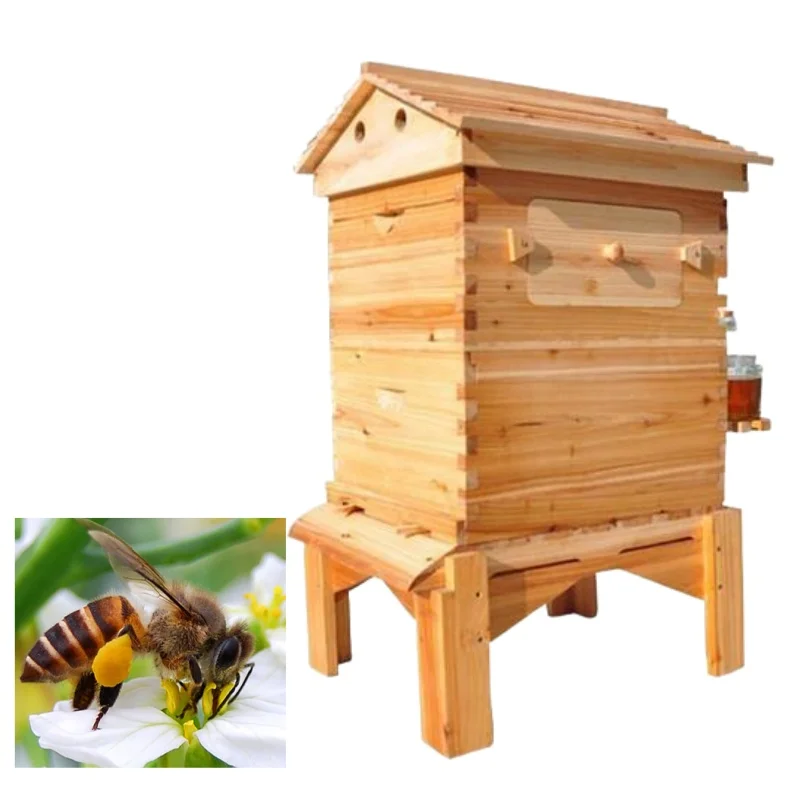 Automatic Beehive Wooden Beehive Box Pine Wood Plastic Frame For Beekeeping Farm Use Competitive Price
