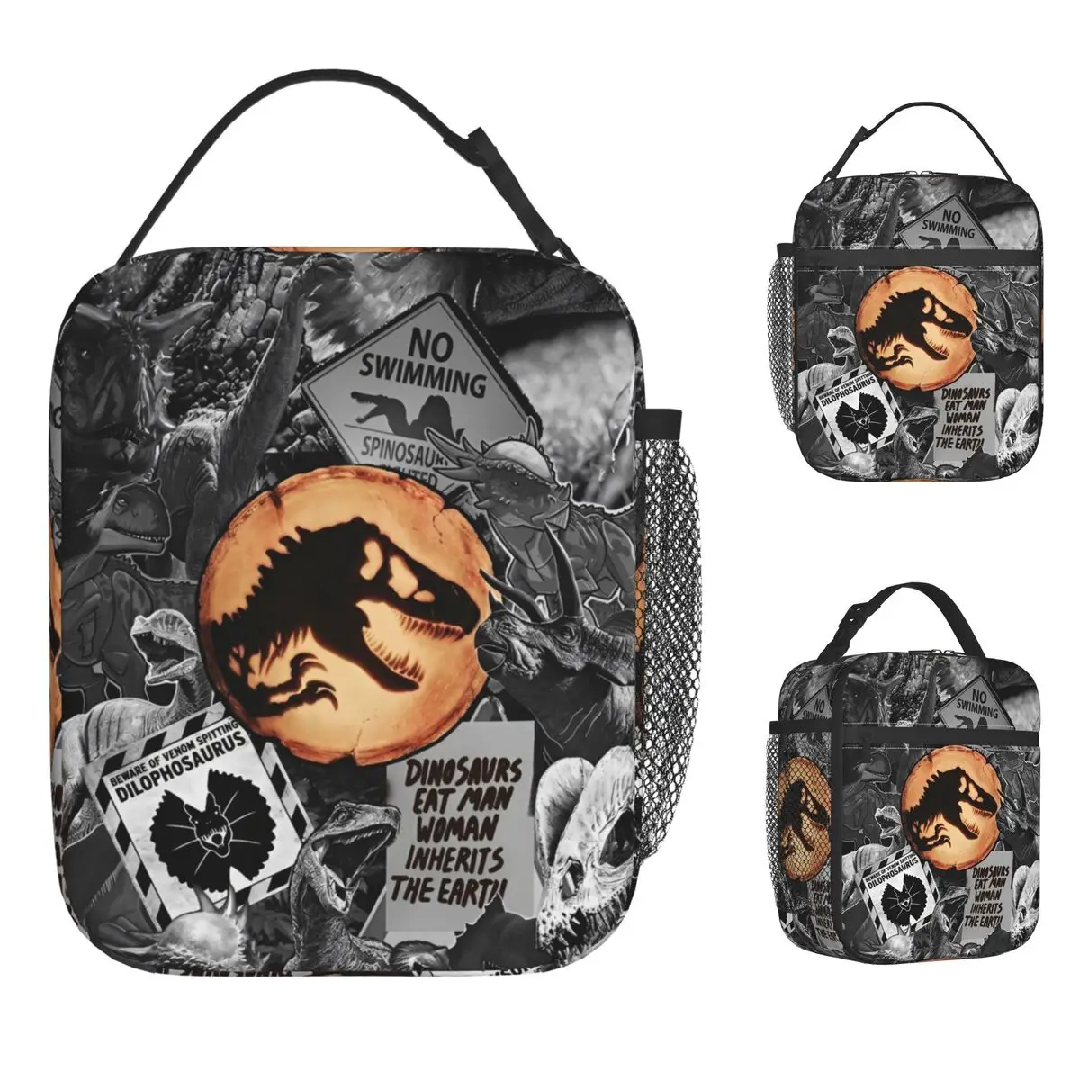 

Парк Юрского периода Ретро сумка для обеда для девочек Ланч-бокс с принтом Повседневная школьная сумка-холодильник Портативные оксфордские термосумки-тоут