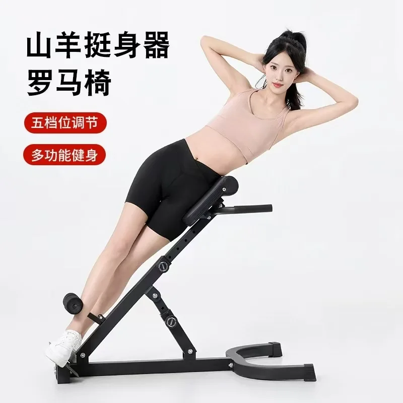 Adjustable Roman Chair Back Extension Bench Home Gym Hyperextension Fitness Equipment