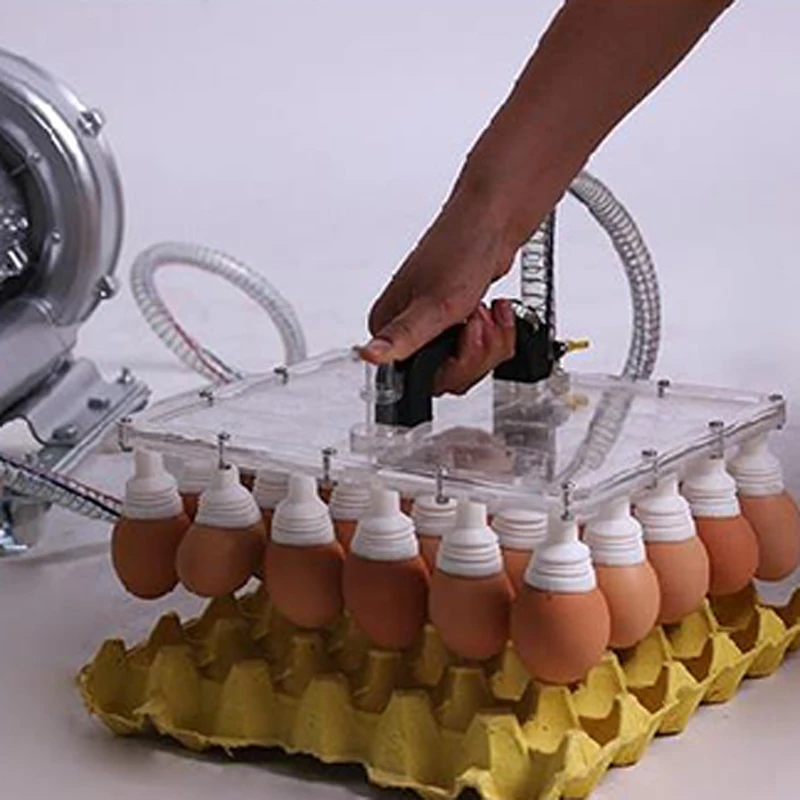 Aksesoris Inkubator Penumpuk Telur Vakum untuk menyedot telur ayam dan bebek dapat menyedot 30 buah sekaligus Dengan dua pegangan