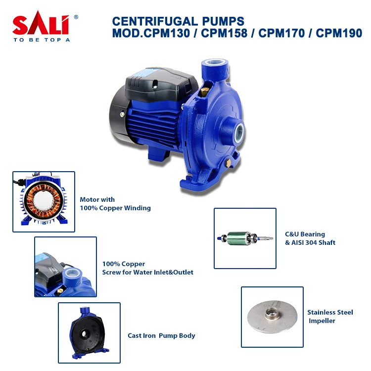 SALI High Flow 220V/50HZ Self-Priming Peripheral Pump Centrifugal Water Pumps SALI Jet Pump