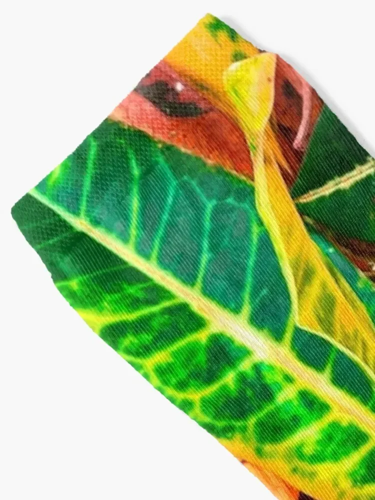 Exotic Green,Yellow, Red Leaves Croton Plants Socks with print Argentina gifts men cotton high quality Ladies Socks Men's