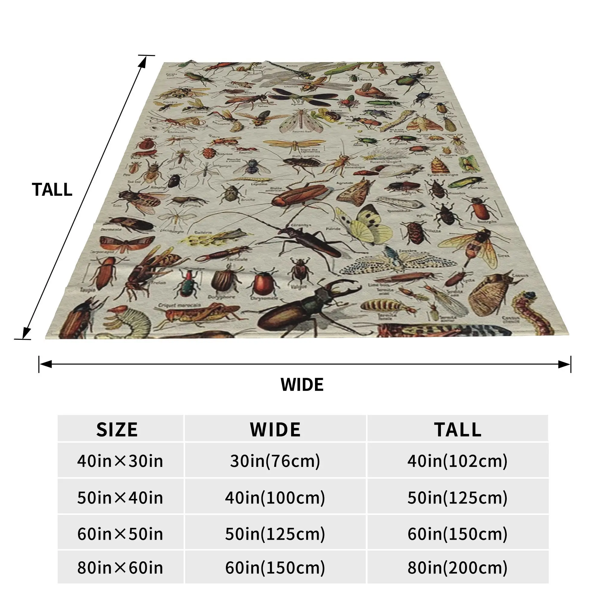 Insects Chart. Scientific Illustration, text in french Blankets Soft Warm Flannel Throw Blanket Cover for Bed Picnic Travel Home