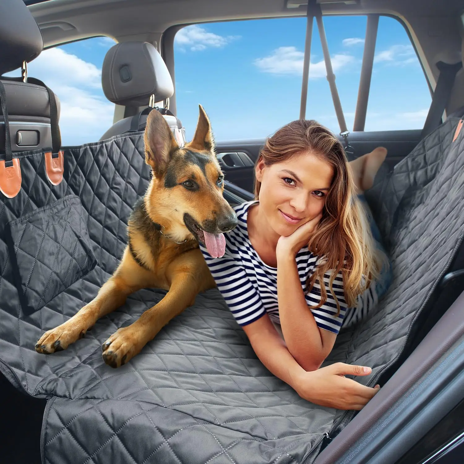 #53 Budget Dog Car Seat Covers for Smart Shoppers