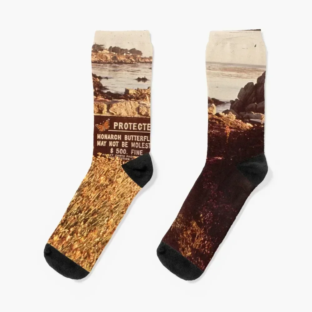 

CALIFORNIA PACIFIC GROVE NARA 543271 Socks cartoon golf Mens Socks Women's