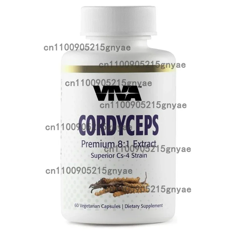 

Cordyceps Sinensis Capsules, Mushroom Extract Supplement Powder Containing 31% Β - Glucan, 60 Capsules, Organic and Vegan