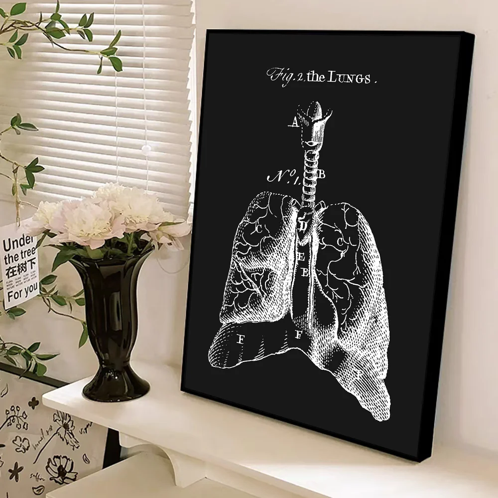 Human Anatomy Muscles System Art Whitepaper Poster HD Quality Poster Wall Art Painting Study Room Wall Decor view 6