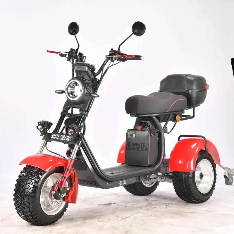 STROVAN Trike Model CP-7 Flexible 4000W Dual Strong Power Motor 3 Wheel Electric Trike Scooter Tricycle Citycoco With Tailbox